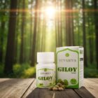 WhatsApp Image 2025-09-30 at 16.36.02_0c21e47c